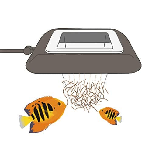 ❤Aquarium Fish Tank Floating Food Feeder Worm Fish Feeding Tools Ring Cup Set Supplies