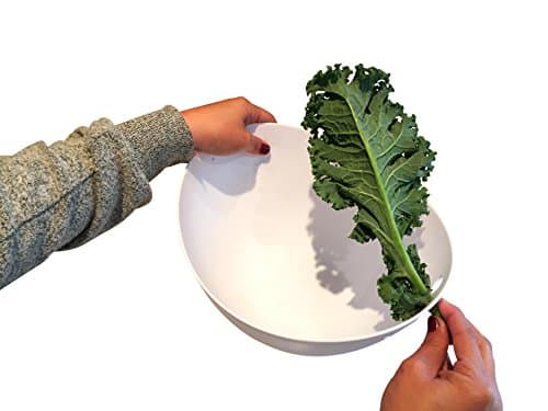 Kitchen Labs Large Family-Sized Angled Salad Bowl With Kale Stripping Tool Built-in - Perfect For Fresh Salads With Herbs, Chard, and Collard Greens