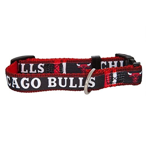 Chicago Bulls - Logo Dog Collar - Small