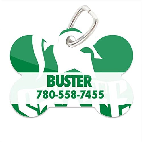 NCAA Michigan State Spartans Custom Pet ID Tag with Personalized Name & Phone Number for Dogs & Cats