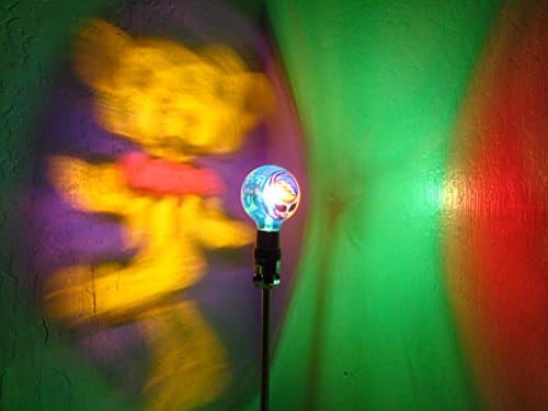 Hand-Painted Grateful Dead Dancing Bear with Lightning Bolt Mood-Light Bulb