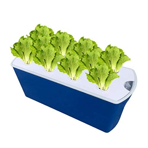 LAPOND Hydroponic System Growing Kit with Pump,10 Holes Soilless Cultivation Seeding Plant Grow Box for Leaf Vegetables and Fruits(10 Plant Sites)