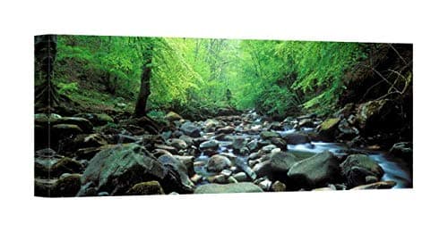 Easy Art Prints Panoramic Images's 'Stream Flowing Through Rocks, Aberfeldy, Perthshire, Scotland' Premium Canvas Art - 40" x 15"