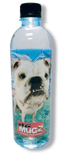 Pure Mugz Bella, 16.9-Ounce Bottle