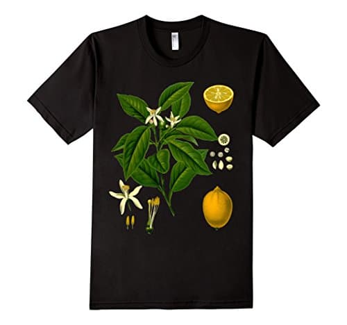 Men's Lemon Plant | Botanical Print | Tshirt Small Black