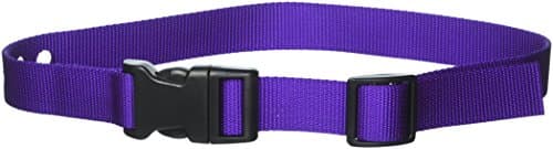 Grain Valley 1" Replacement Strap, Color: Purple. Sold Per Each. Fits Most PetSafe Bark Collars and Many Containment Collars. (No-Bark Collars / Accessories)