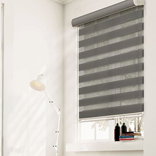 Chicology Free-Stop Cordless Zebra Roller Shades / Combi Blind Curtain Drape, Dual Layer, Sheer or Privacy - Striped Granite, 58"W X 72"H
