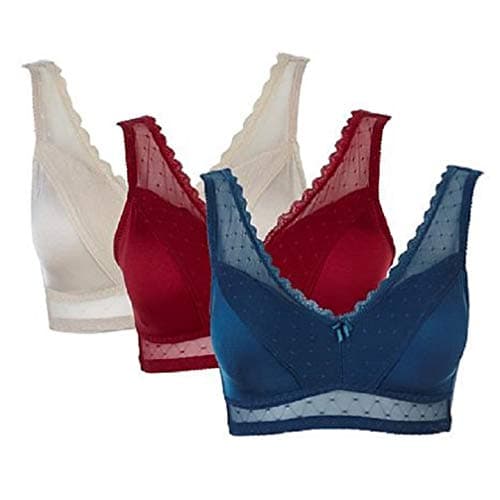Rhonda Shear Mesh Dot Pin Up Bra Set of Three