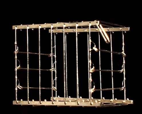 Udays Magic World Vanishing Bird Cage by Uday