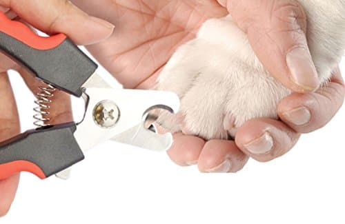 Dog Nail Clippers With Rubber Handles For Better Grip And A Quick Guard For Safety, Featuring Nail File To Prevent Claw Chipping – For Large And Small Dogs