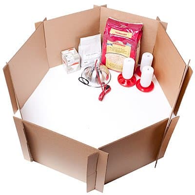 My Pet Chicken Complete Baby Chick Starter Kit