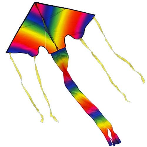 Besra Rainbow Kite Single Line Delta Kite with Long Tail for Kids and Adults Outdoor Fun Sports for Beach & Park
