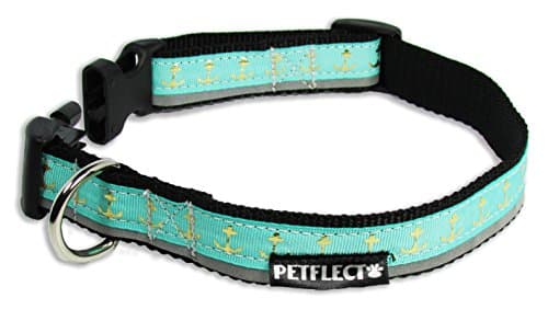 Petflect Gold Anchors on Turquoise Reflective Collar, Medium