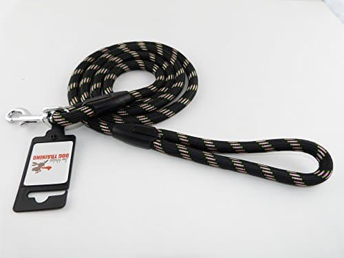Introductory Offer 48% Off - Premium Quality Mountain Climbing Rope Dog Leash - 6 Feet - Great Lead for Walking, Training and Hiking with your Dog or Puppy - Black