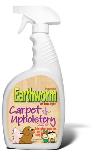 Earthworm Carpet & Upholstery Cleaner Spot & Stain Remover - Natural Enzymes, Safer for Family, Environmentally Responsible - 22 oz by Earthworm