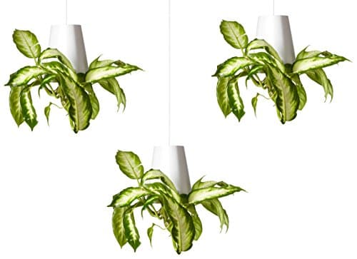 Sky Planter Recycled Medium White Set of 3