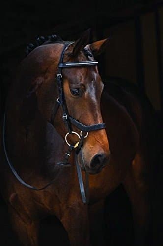 Rambo Micklem Diamante Competiton Bridle Small Hor