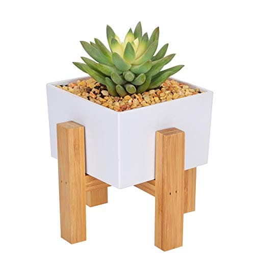 Succulent Planter Stand with 3.1 Inch Mini White Planter Pot, Mid Century Modern Indoor Plant Holder (Pack of 1 Square Planter Box and 1 Bamboo Stand),CUUCOR