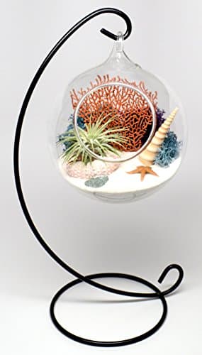 Pixie Glare Hanging Glass Terrarium 4.75 Inch Diameter with 11 Inch(H) Metal Display Stand. Ocean Scene with Air Plant & Accessories (White Seto)