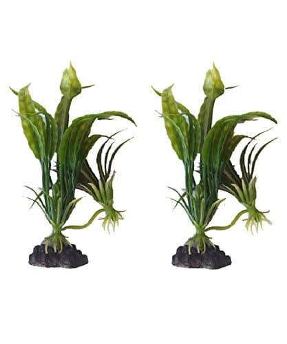 2 Pack - 5 Inch Cryptocornye Artificial Plants For Tropical Fish Aquariums & Terrariums. Great For Angel Fish & Tetras!