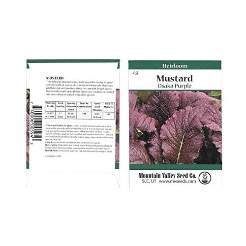 Osaka Purple Mustard Seeds - 2 g Packet - Non-GMO, Micro HERB Greens, Garden