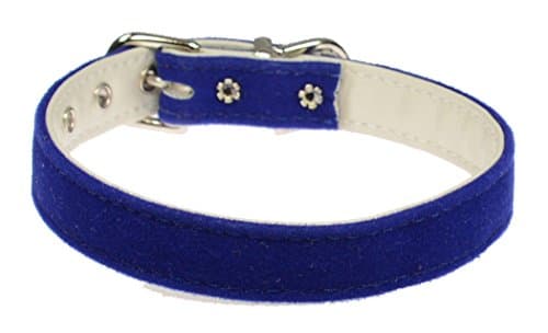 Evans Collars 1/2" Collar, Size 10, Velvet, Blue