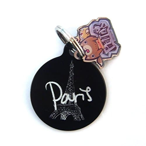 happypettag - Personalized Paris Eiffel Tower Pet ID Tag, Customized Pet ID Tags Dogs Cat ID Tags, Double Side Aluminium Engraved. Includes up to 3 Lines of Customized Text - Back Engraving.