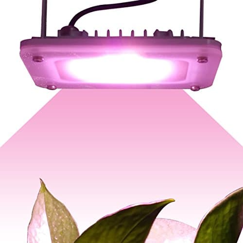 Lenofocus LED Grow Light Panel 24W Full Spectrum LED Plant Growing Lights for Indoor Plants, Seedlings, Veg and Flowering
