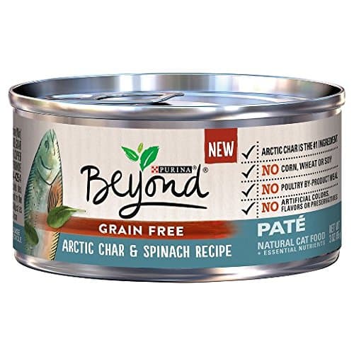 Provi 178409 3 oz One Beyond Pate Grain Free Arctic Char & Spinach - Pack of 12