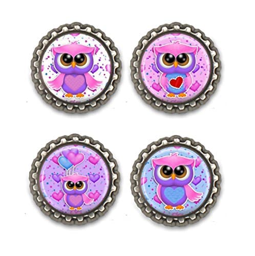 Valentines Day Owls Bottle Cap Magnets