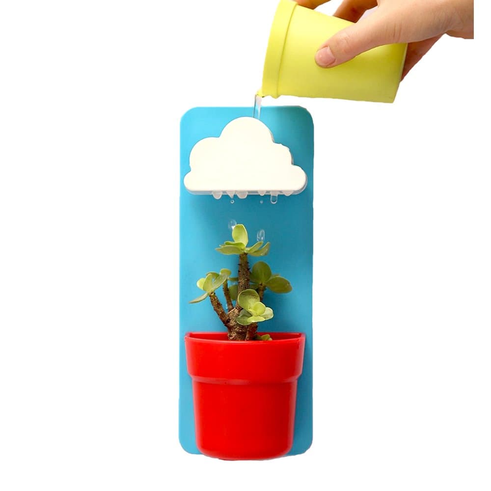 Airby® Creative Home Decor Wall Mount Rainy Pot Flower Plants Pot with Cloud-shaped Water Filter Indoor Outdoor Garden decoration Hanging Flower Planter, Blue