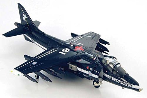 Harrier GR.5 Pegasus 11-61 Flight Test Color Scheme (1:72)