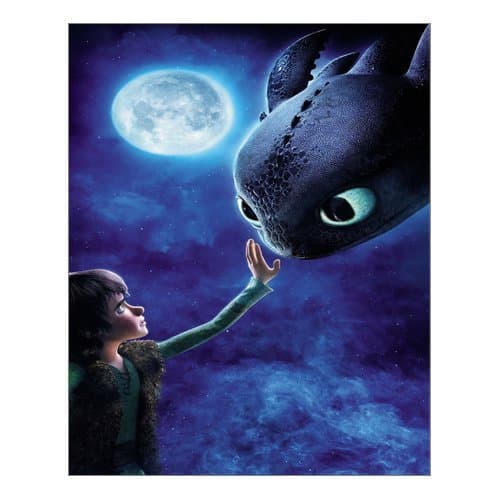 Custom How to Train Your Dragon Canvas Prints 16" x 20" Inch - Modern Canvas Wall Art Print Home Decor Wall Artwork