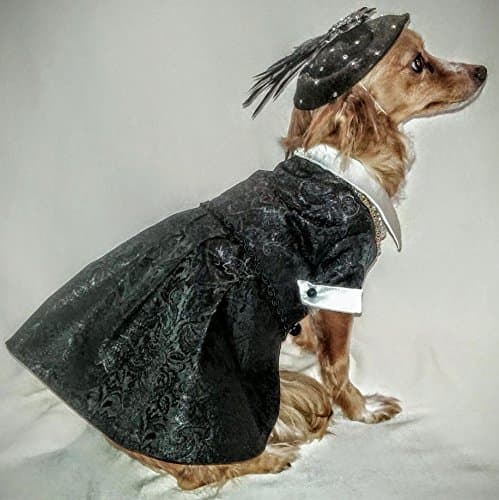 Ooh La La Dog Dress Custom Design