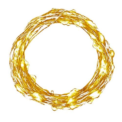 Isightguard LED Starry String Lights,39ft 100 LED USB Fairy Starry Copper Wire Rope Lights for Bedroom Christmas, Party, Holiday, Garden, Patio, Wedding Decoration Indoor (Warm white)