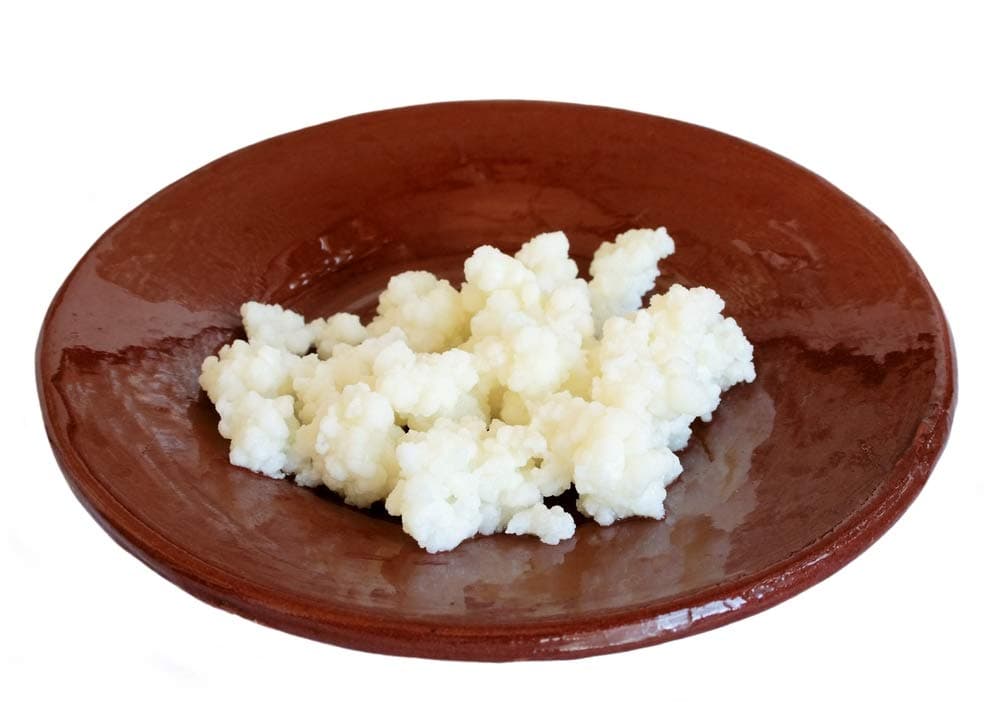 RAW Organic Milk Kefir Grains by Crave Longevity