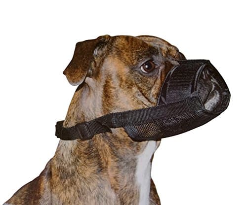 Dog Mesh Muzzles for Barking Biting Chewing Nylon Mesh Adjustable Velcro for Small Medium Large Big Dogs Anti Bite Chew Bark Lick Able to Drink Breathable