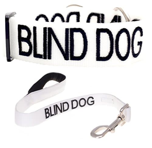 BLIND DOG White Color Coded Alert Warning L-XXL Semi-Choke Dog Collar and 2 4 6 Foot Padded Leash Sets (No/Limited Sight) PREVENTS Accidents By Warning Others of Your Dog in Advance (Collar + Short 2 Foot Leash)