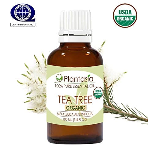 Tea Tree Organic Essential Oil 100 ML 3.4 FL OZ 100% Natural Australia Plantasia