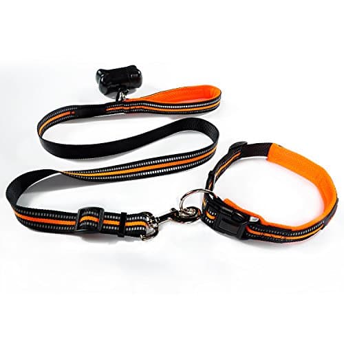 MYOLDSX Orange Adjustable Reflective Dog Leash Collar Set for Medium and Large Dogs Daily Training Walking Running, Free Waste Bag Dispenser & bag