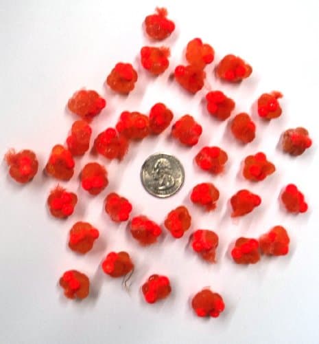 Floating Orange Spawn Sacs; 36 Sacs; Harvested/Processed in Michigan; Certified; #SS12VORF