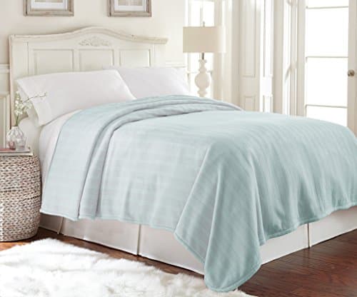 Amrapur Overseas | Plush Damask Stripe Blanket (Pale Blue, Queen)