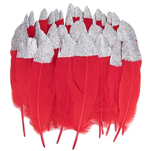 Vidillo Feathers for Crafts, 40 Pcs Goose Gold/Silver Dipped Natural Red/Black Feathers for DIY Dream Catchers Craft…
