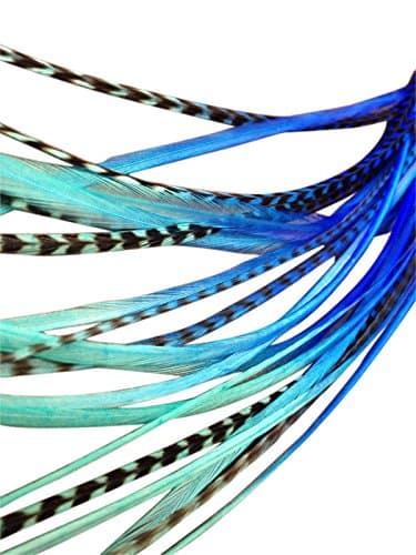 Feather Hair Extensions, 100% Real Rooster Feathers, 20 Long Thin Loose Individual Feathers, By Feather Lily