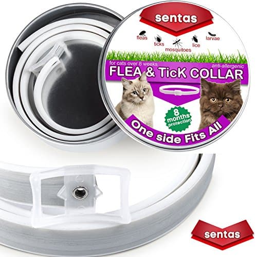 Flea and tick prevention for cats by Sentas, cat flea collar, flea tick prevention, flea treatment for cats, flea protection, pet flea collars, flea & tick for cats, flea & tick control