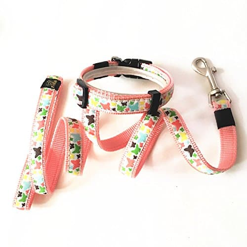 Joopet Fashion Classic Butterfly Printed Lovely Basic Pet Collars Nylon Dog Collars leash Made For Puppy Pet, Matching Leads & collars Set Available Pink (M)
