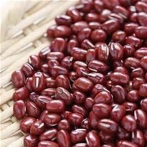 Adzuki Bean Seed, Microgreen, Sprouting, 11 OZ, Organic Seed, NON GMO - Country