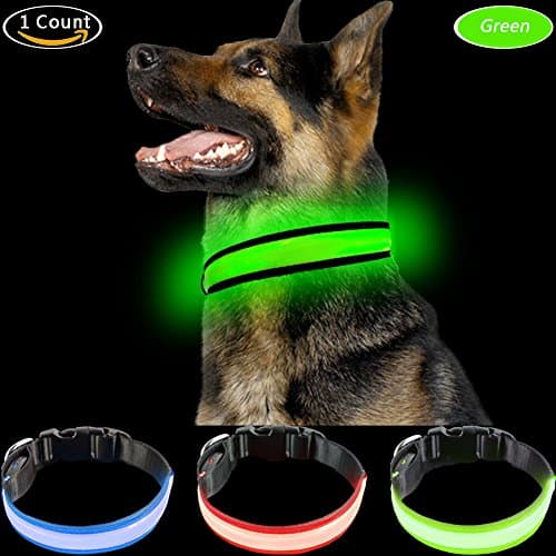 PetIsay Dog Collar Light - USB Rechargeable with Water Resistant - Available in 3 Colors & 3 Sizes - Fashion Light up Collar Makes Your Dog Visible, Safe & Seen - Neon Green, Medium(17-20.9/43-53cm