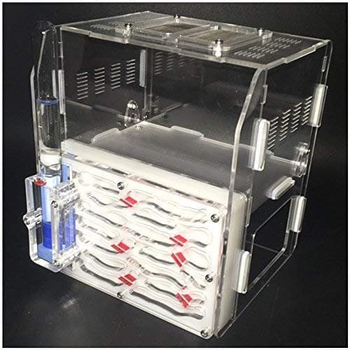 MTCWD White Thick Ants Nest Villas Feeding Feeding Area Workshop Easy to Install Ants Palace Castle Insect Cages