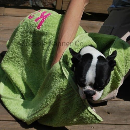 Personalized Dog Towel with Handy Drying Pockets